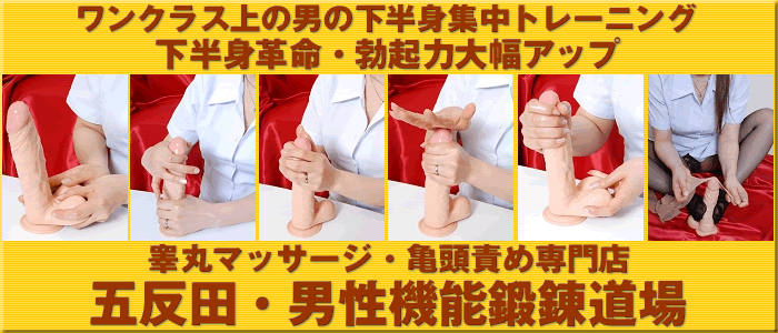 �ܔ��c�E�j���@�\�b�B����